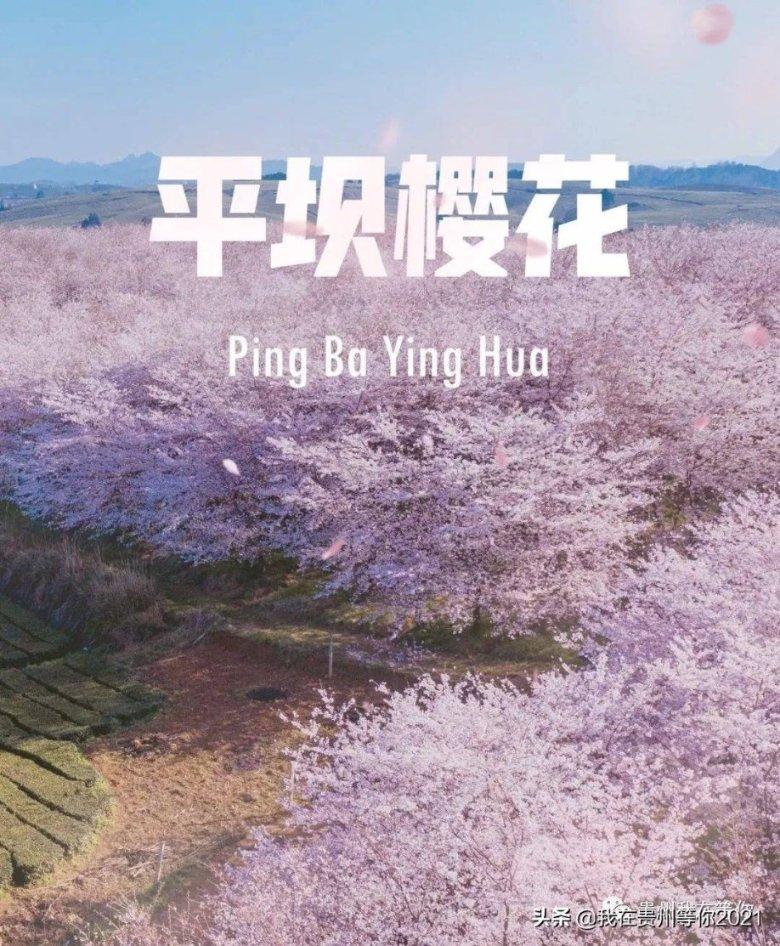 逃离医生的家