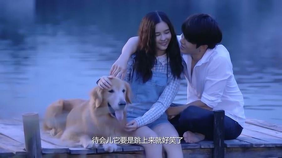 逃离森林边缘