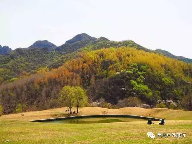 春节期间生肖为龙可免票参观！ 汉景帝阳陵博物院2024惠民活动发布