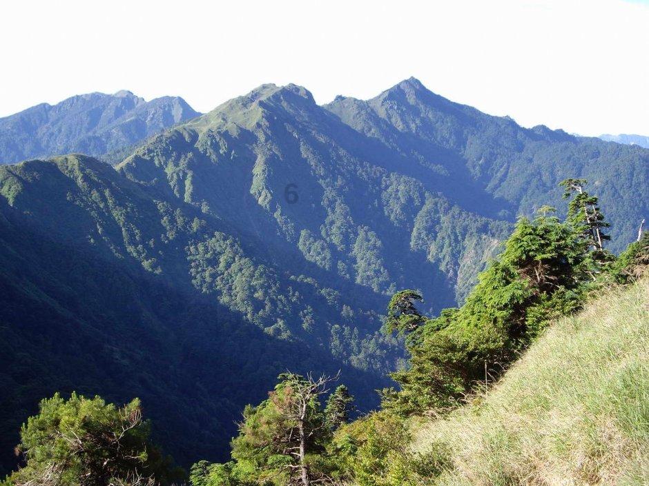 人类：一败涂地