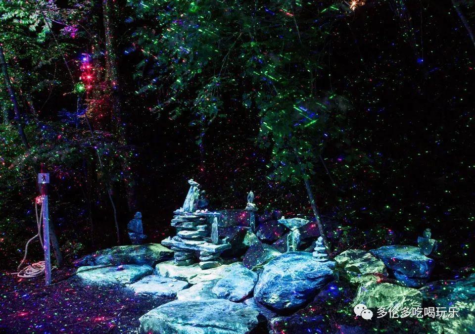 虫虫助手下载